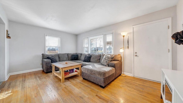 living room with a healthy amount of sunlight and light wood-type flooring