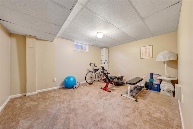 exercise area featuring carpet floors and a drop ceiling