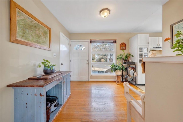 foyer entrance featuring light hardwood / wood-style flooring