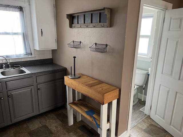 kitchen with a wealth of natural light, sink, and gray cabinetry