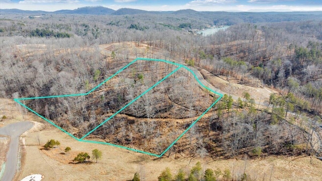 LOT41 Pearl Dr, Hardy, VA 24101