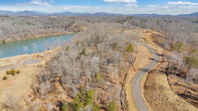 Listing photo 2 for LOT41 Pearl Dr, Hardy VA 24101