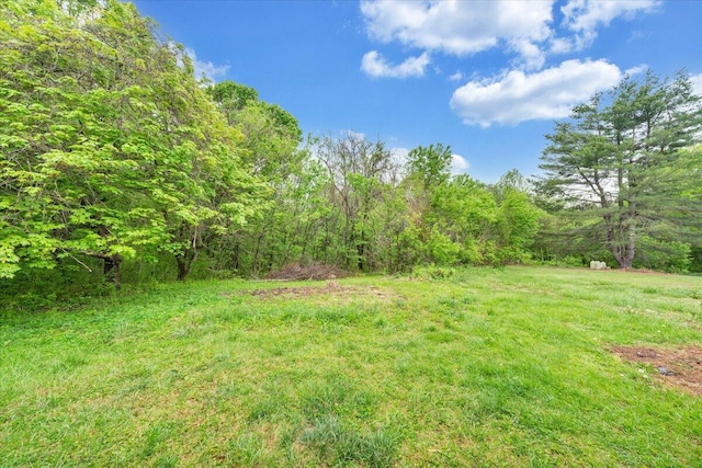 view of yard featuring a forest view