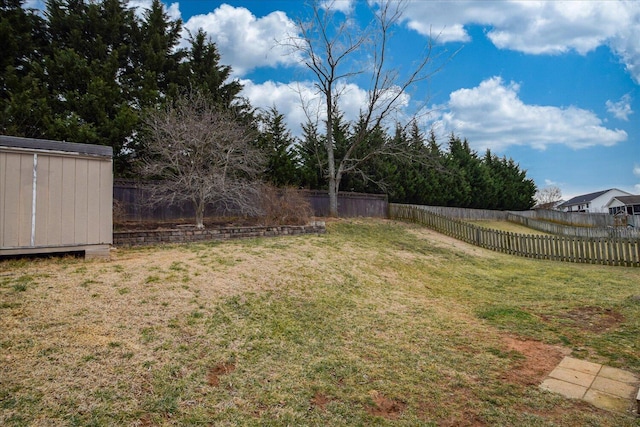 view of yard with a shed