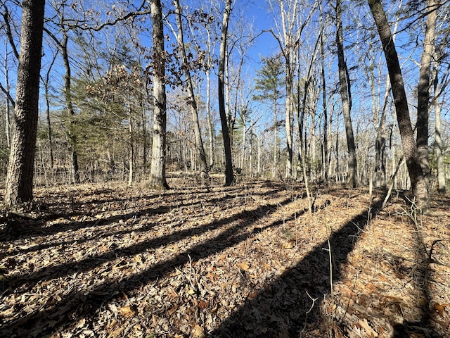 0 Timber Rdg, Buchanan VA, 24066 land for sale