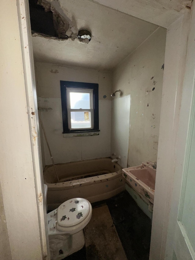 bathroom featuring sink and toilet