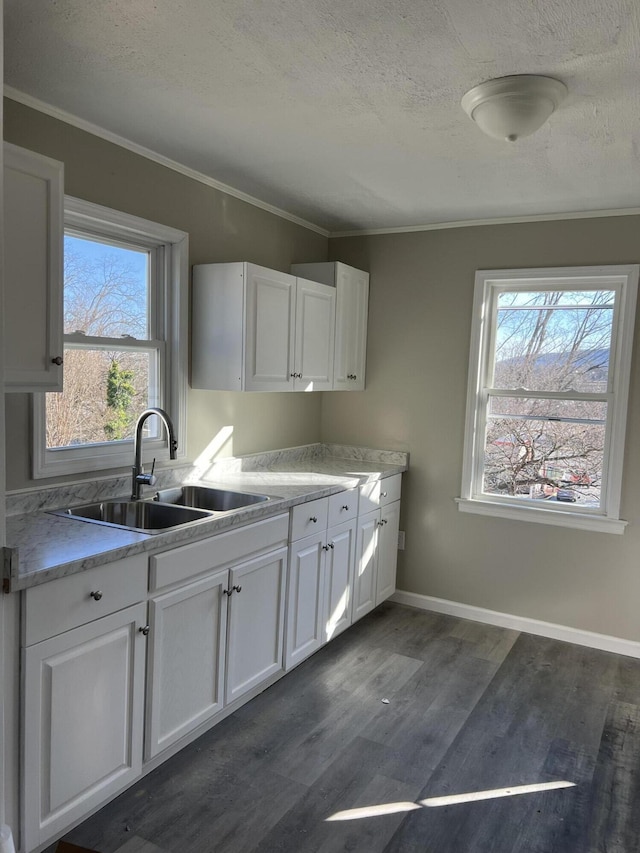 kitchen featuring white cabinetry, sink, dark hardwood / wood-style flooring, and a healthy amount of sunlight