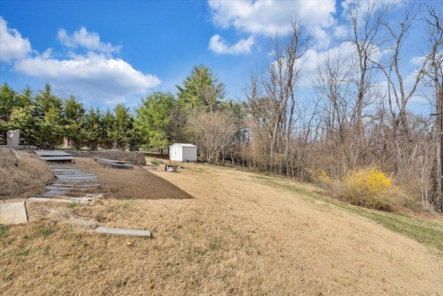 view of yard with a storage shed and an outdoor structure