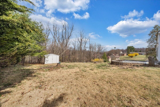 view of yard with an outbuilding and a storage unit