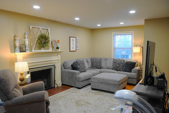 living room featuring wood-type flooring