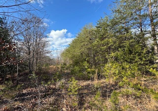 Listing photo 3 for LOT1 Tolers Ferry Rd, Huddleston VA 24104