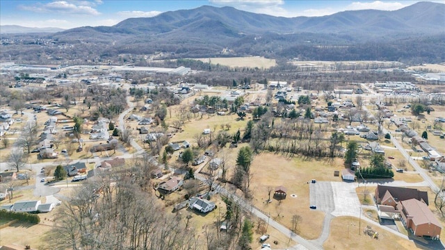 birds eye view of property featuring a mountain view