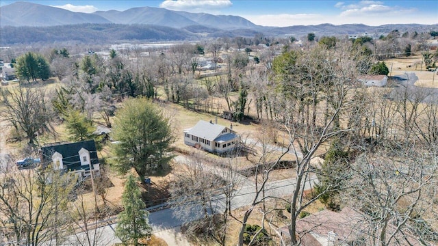 birds eye view of property with a mountain view