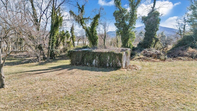 view of yard featuring a mountain view