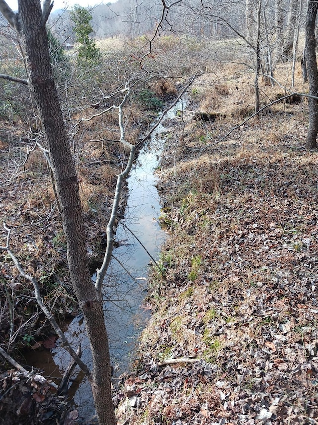 view of local wilderness