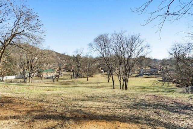 view of yard with a mountain view and a rural view