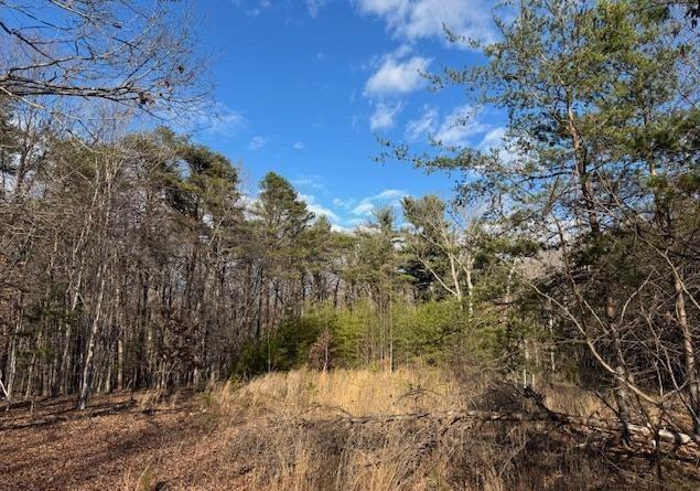 LOT2 Tolers Ferry Rd, Huddleston VA, 24104 land for sale