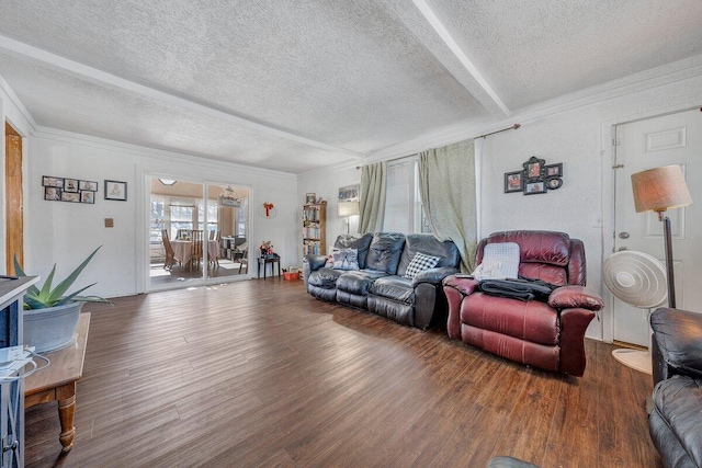 living room featuring crown molding, a textured ceiling, and wood finished floors