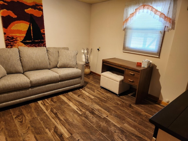 living room featuring dark hardwood / wood-style flooring