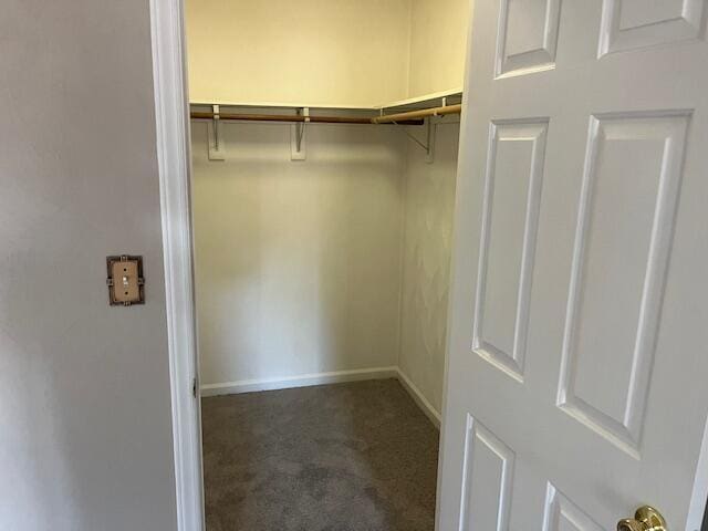 walk in closet featuring dark carpet