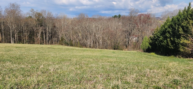 Listing photo 2 for LOT7 Kyles Ct, Rocky Mount VA 24151