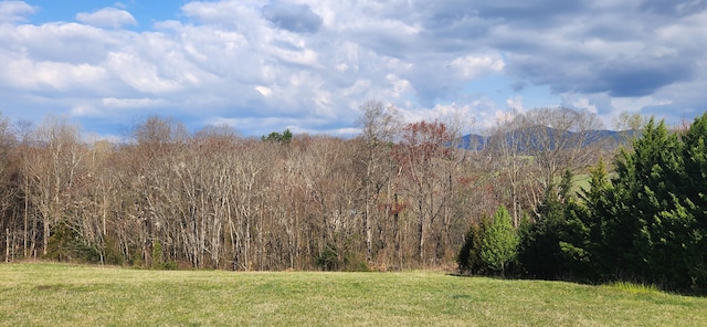 Listing photo 3 for LOT7 Kyles Ct, Rocky Mount VA 24151