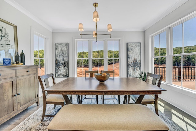 dining room featuring ornamental molding, a wealth of natural light, and light wood-type flooring