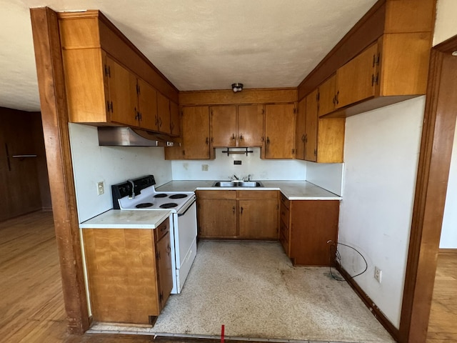 1075 Windstar Cir, Vinton, VA 24179 - kitchen with electric stove, brown cabinetry, under cabinet range hood, a sink, and light countertops