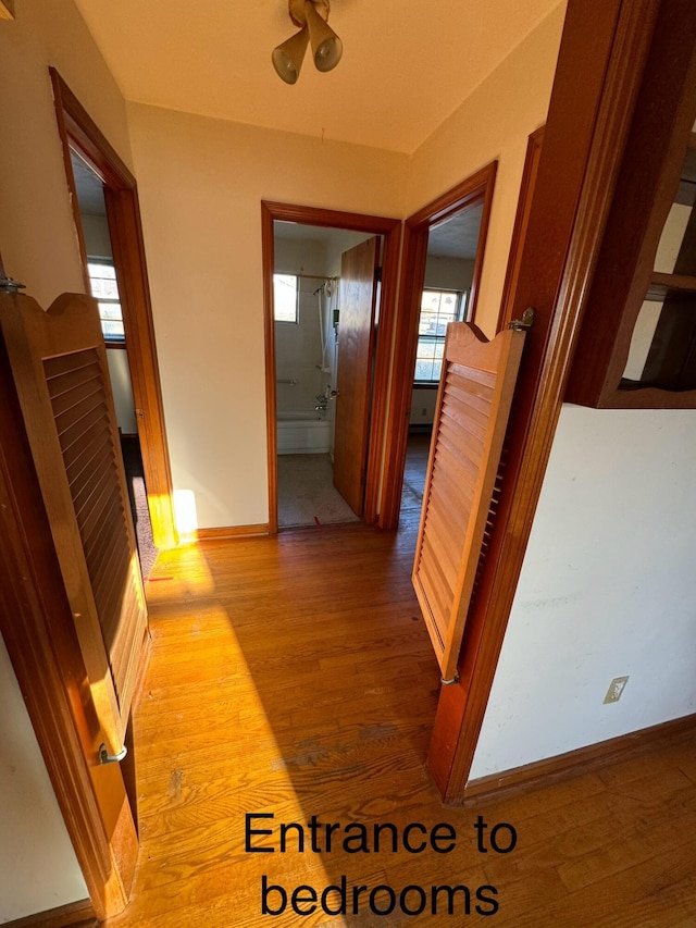 corridor with hardwood / wood-style flooring