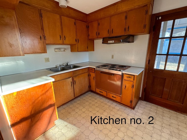 1075 Windstar Cir, Vinton, VA 24179 - kitchen with light flooring, a sink, under cabinet range hood, and light countertops