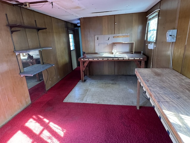 kitchen with wooden walls