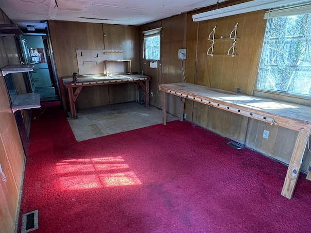 1075 Windstar Cir, Vinton, VA 24179 - below grade area featuring wood walls and carpet