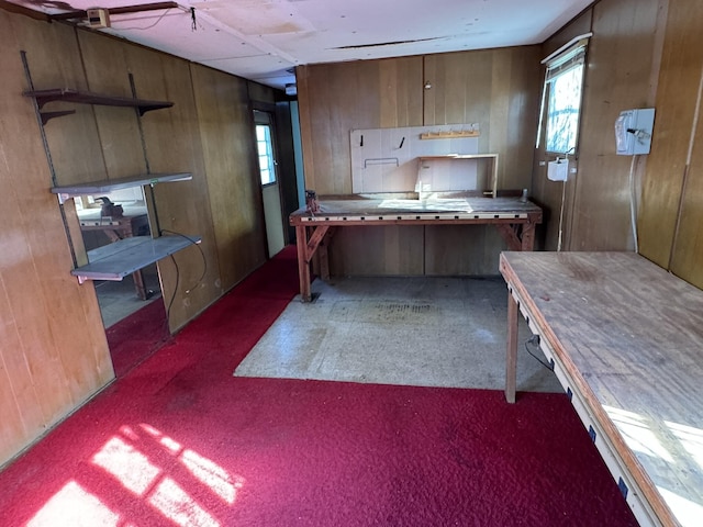 1075 Windstar Cir, Vinton, VA 24179 - kitchen featuring plenty of natural light, carpet floors, and wooden walls
