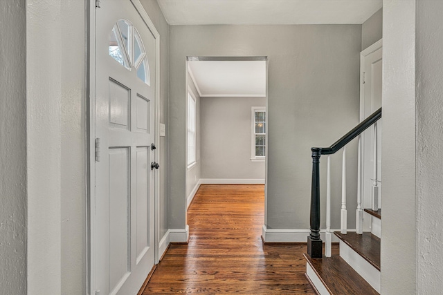 entryway with dark wood-type flooring