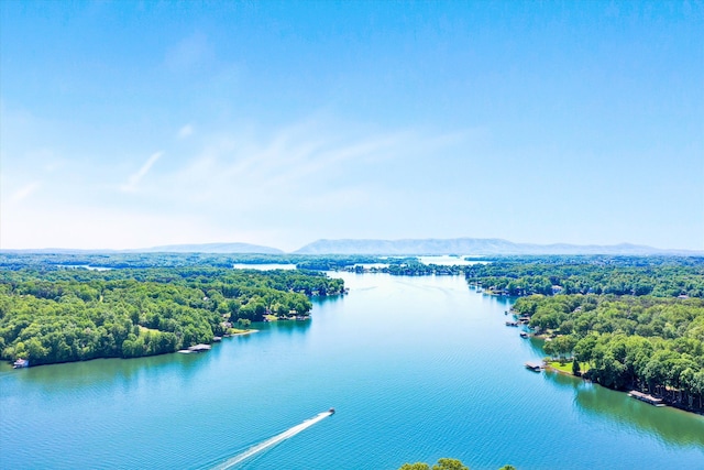 birds eye view of property with a water and mountain view