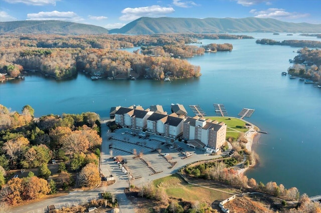 drone / aerial view with a water and mountain view