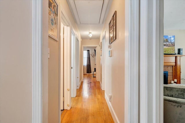 corridor featuring light hardwood / wood-style floors and a wealth of natural light