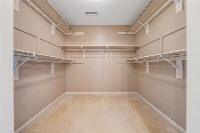 spacious closet with light carpet