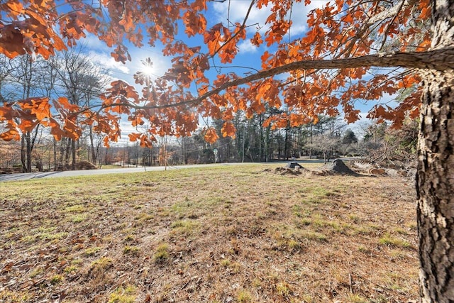 Listing photo 2 for LOT2 River Creek Rd, Wirtz VA 24184