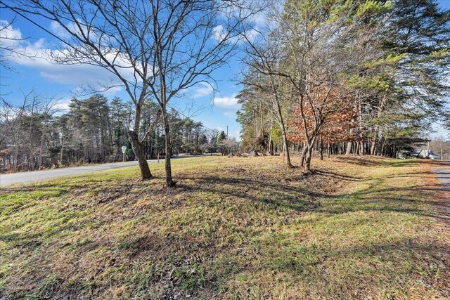 Listing photo 3 for LOT2 River Creek Rd, Wirtz VA 24184