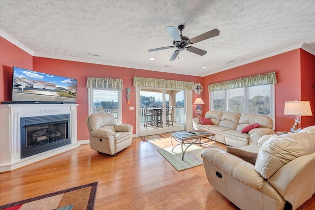 living room with ceiling fan, light hardwood / wood-style flooring, ornamental molding, and a textured ceiling