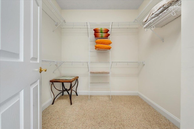 view of walk in closet