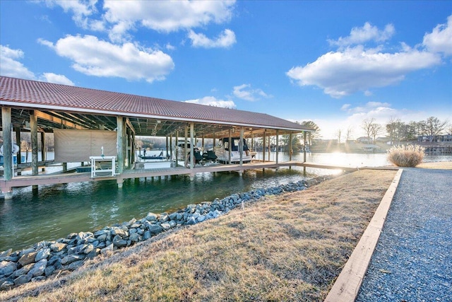 dock area with a water view