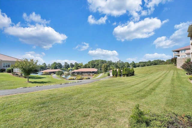 view of yard featuring a water view