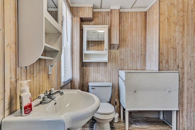 bathroom with sink, a drop ceiling, wood walls, and toilet