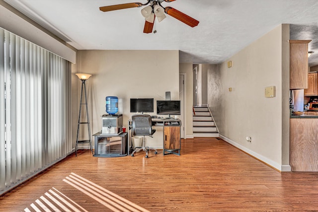 office featuring ceiling fan and light wood-type flooring