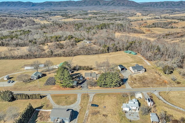 birds eye view of property featuring a mountain view