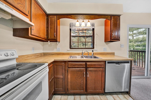 kitchen with light carpet, sink, white electric stove, and dishwasher