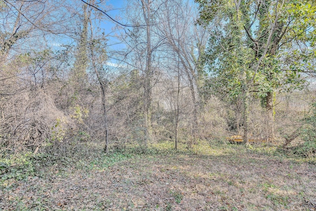 view of woods