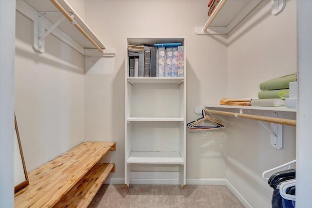 walk in closet with light carpet